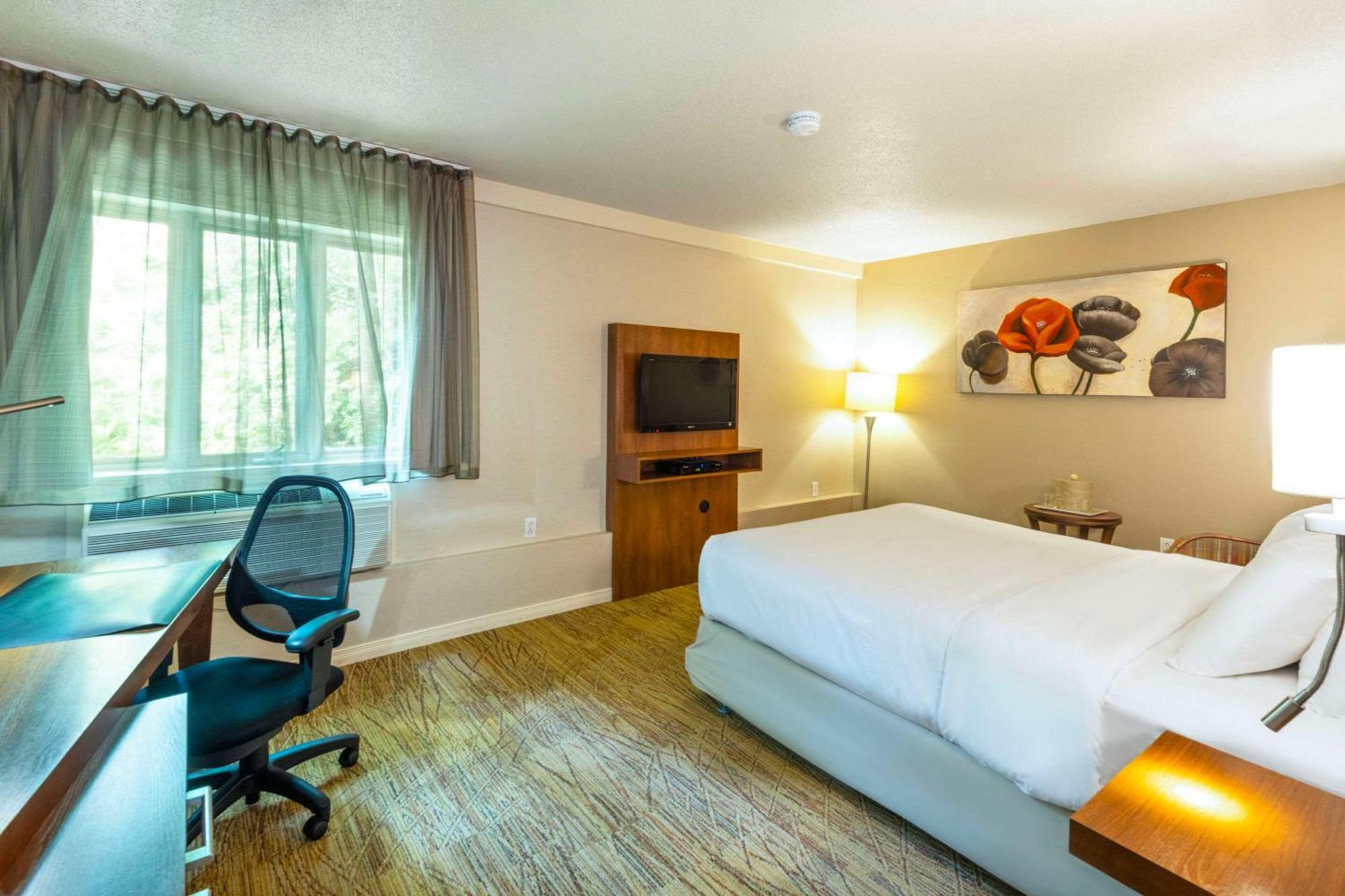 Comfort Inn Mont Laurier Zewnętrze zdjęcie